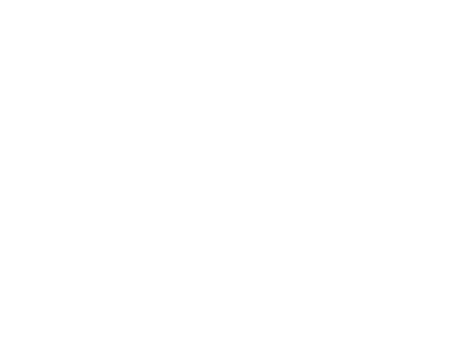 Logo spectrovise